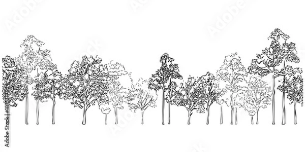Fototapeta Tree line background. Vector illustration of forest scene with branches. Different kinds of trees drawing. Natural silhouette.