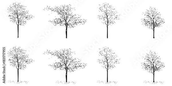 Fototapeta Collection of bare trees sketches with no leaves for nature background design. Forest tree in autumn season isolated. Vector illustration.