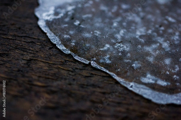 Fototapeta Background of ice and tree