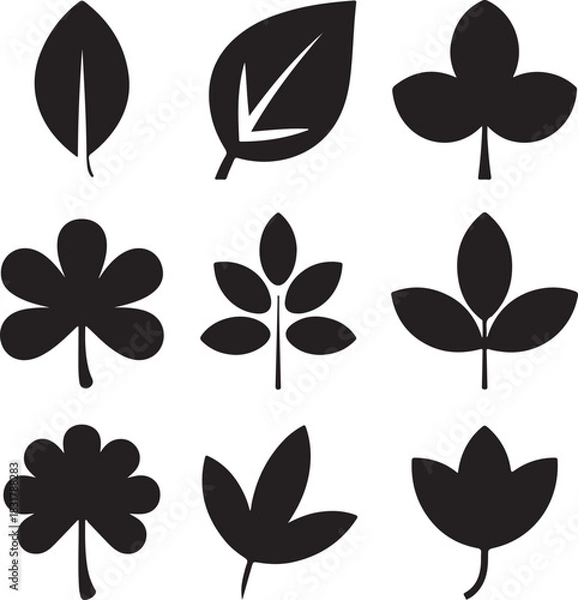 Fototapeta Collection of Diverse Leaf Silhouettes for Natural Design Elements and Botanical Illustrations