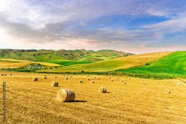 Fototapeta beautiful agricultural landscape of a golden shiny fielf of summer farmland with amazing hay stacks and scenic green hills and mountains on background