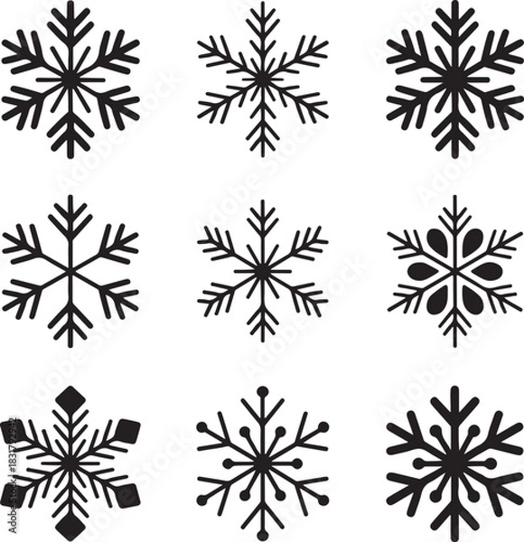 Obraz Set of Nine Black and White Snowflake Icons for Winter Themes