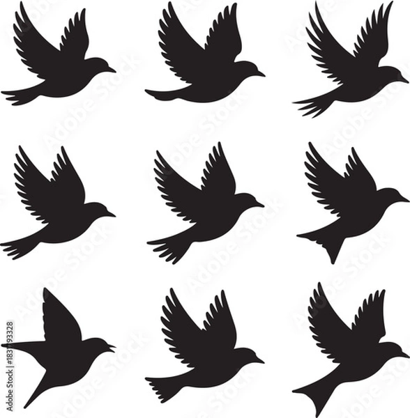 Obraz Silhouette Flying Birds Set Vector Illustration Peaceful and Freedom Concept
