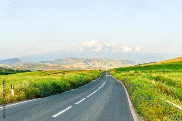 Fototapeta beautiful landscape of long road to amazing mountain scene from a green summer fields and hills. Asphalt road to mountains and golden meadows.