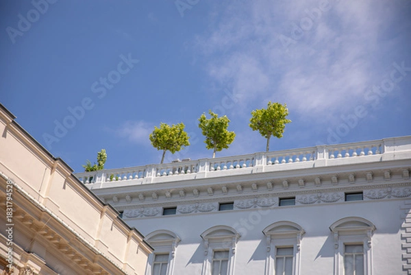Fototapeta Green rooftops in the city. They symbolize biophilic design, improve concentration, reduce stress, and increase employee productivity.