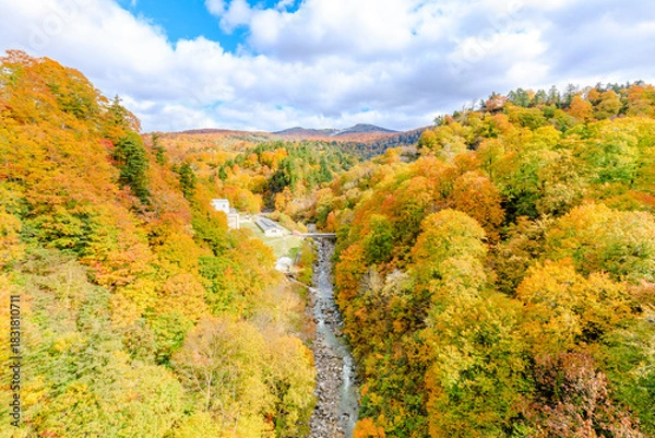 Obraz 秋の玉川温泉大橋から見た景色　秋田県仙北市　Autumn view from Tamagawa Onsen Bridge. Akita Pref, Semboku City.