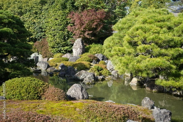 Obraz 京都 秋の紅葉の季節の城南宮の風景