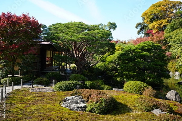 Obraz 京都 秋の紅葉の季節の城南宮の風景
