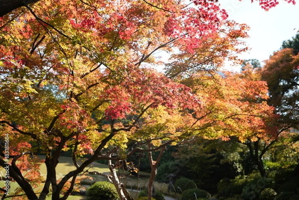 Obraz 京都 秋の紅葉の季節の城南宮の風景