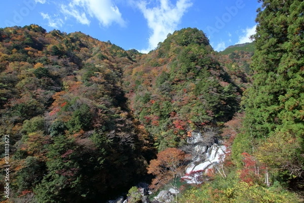 Obraz 瀬戸川渓谷　秋の渓谷美　（高知県　土佐町）