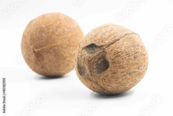 Obraz Coconuts isolated on white background