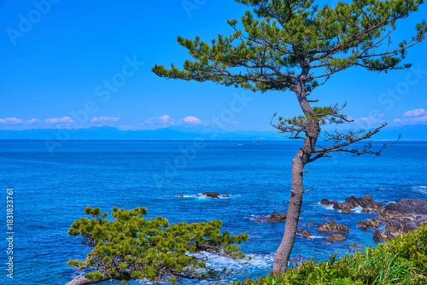 Obraz 神奈川県横須賀市の荒崎公園(潮風の丘付近)から西側の眺望(富士山,相模湾など)
