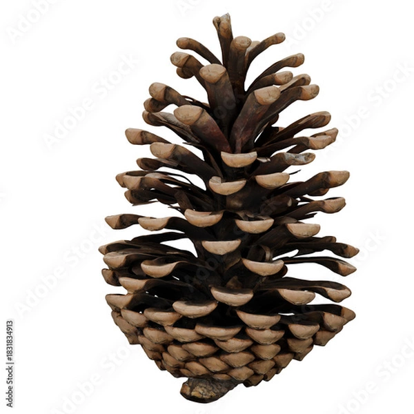 Obraz Realistic pinecone ornament with natural texture and elegant decorative detail
