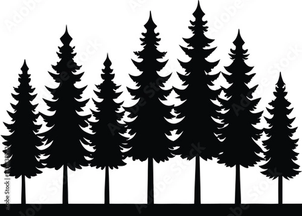 Obraz Pine Forest Silhouette

