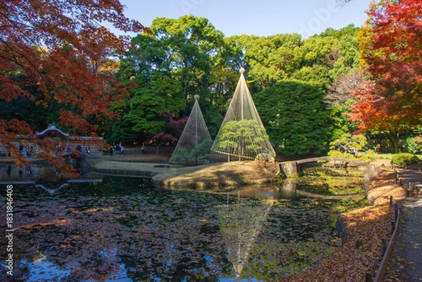 Obraz 小石川後楽園の秋の風景