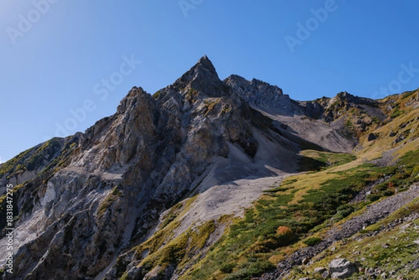 Obraz 日本の山岳風景