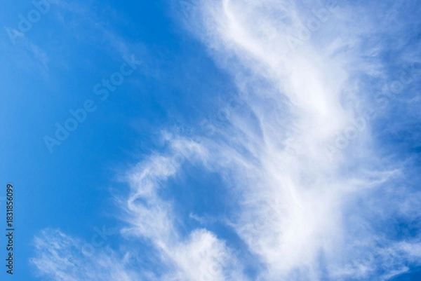 Fototapeta 初冬の空　青空と雲23