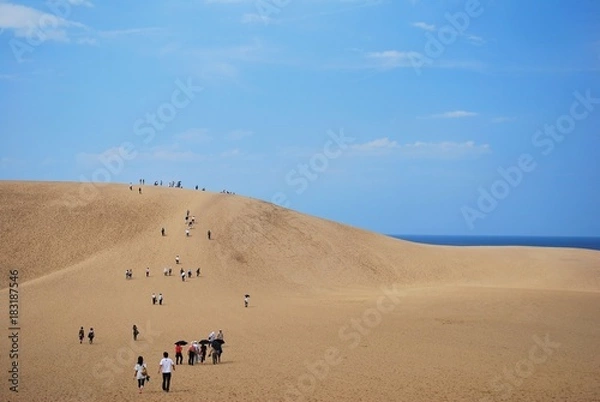 Obraz Tottori sand dunes