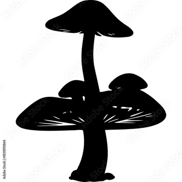 Fototapeta Silhouette of three mushrooms with different sizes and shapes cap on transparent background