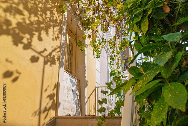 Fototapeta Sunlit entrance with green leaves and shadow patterns on yellow wall