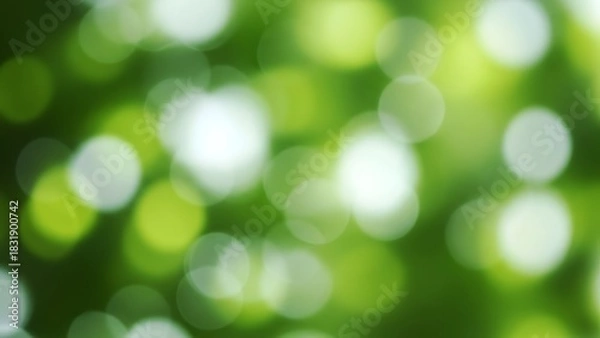 Obraz Abstract nature background with blurred green foliage and bokeh light effect creating a soft focus look