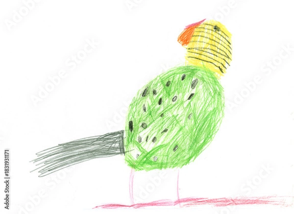 Fototapeta A green budgie drawn in a childish style. A child's drawing done with colored pencils.