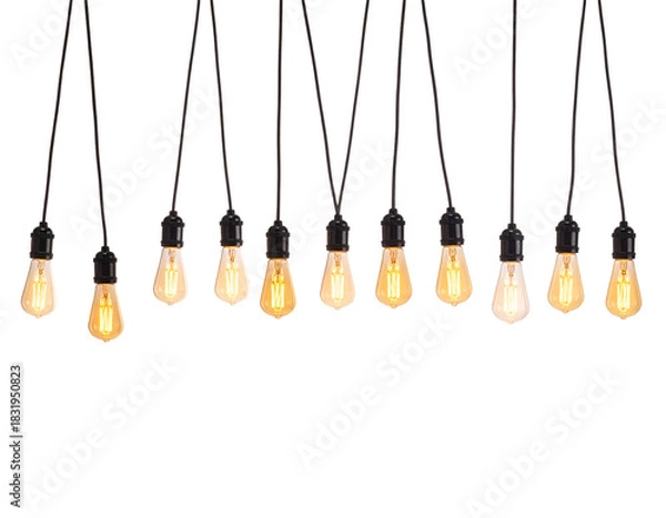 Obraz  Decorative Hanging String Lights with Bulbs