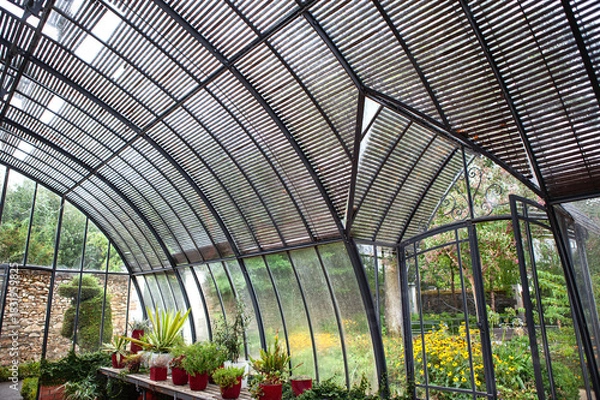 Obraz Plants are growing in a stylish veranda