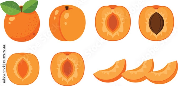 Fototapeta Cartoon Apricot Fruit Collection with Whole Halves and Sliced Pieces Colorful Flat Vector Illustration Set