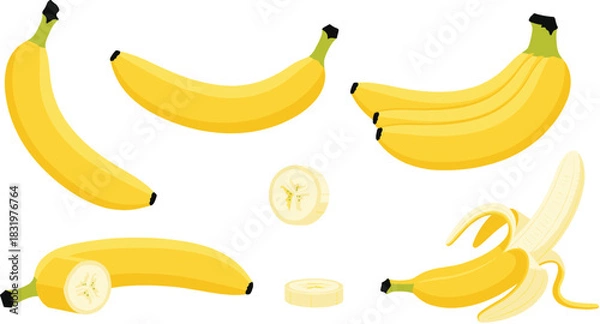 Fototapeta Cartoon Banana Collection with Whole, Sliced, and Peeled Bananas Colorful Flat Vector Illustration Isolated on White