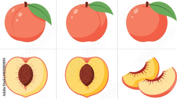 Fototapeta Cartoon Peach Fruit Icon Set with Whole Cut and Sliced Peaches Colorful Flat Vector Illustration Isolated