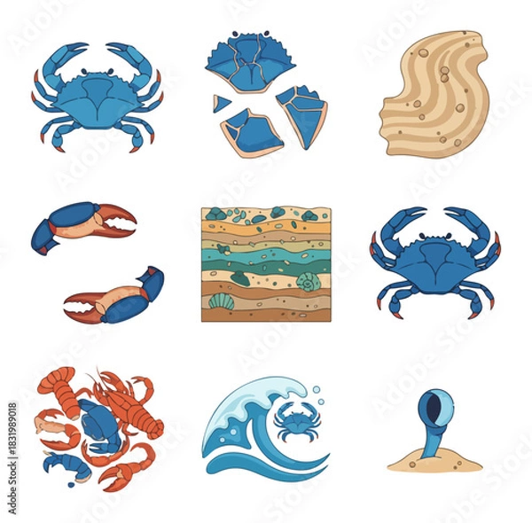 Fototapeta Coastal creatures and elements illustration set for design projects