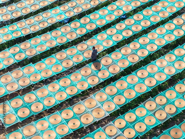 Fototapeta Aerial View of Worker Arranging Traditional Spiral Incense Coils Among Endless Drying Racks at Chinese Factory