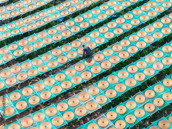 Fototapeta Aerial View of Worker Arranging Traditional Spiral Incense Coils Among Endless Drying Racks at Chinese Factory