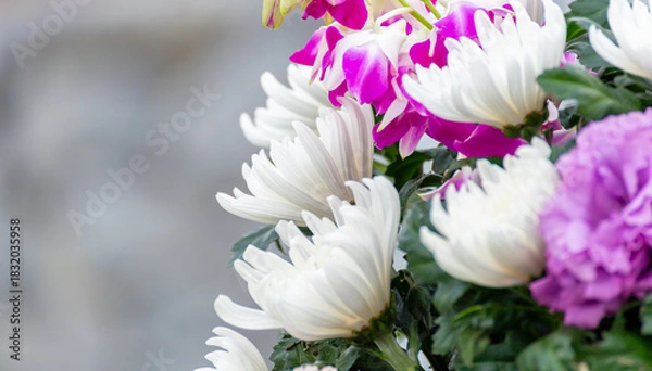 Fototapeta 仏花の花束（白菊、ピンクの蘭）