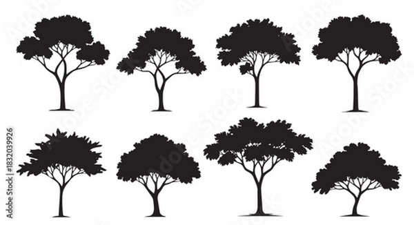 Fototapeta Broad spreading tree silhouette set. African acacia, oak, and park nature vector collection. Architecture and landscape design symbols.