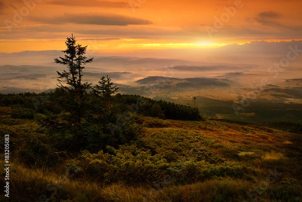 Obraz Beautiful view of sunrise at Babia mountain. Poland