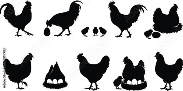 Fototapeta Chicken Silhouettes Set | Black and White Vector Illustration