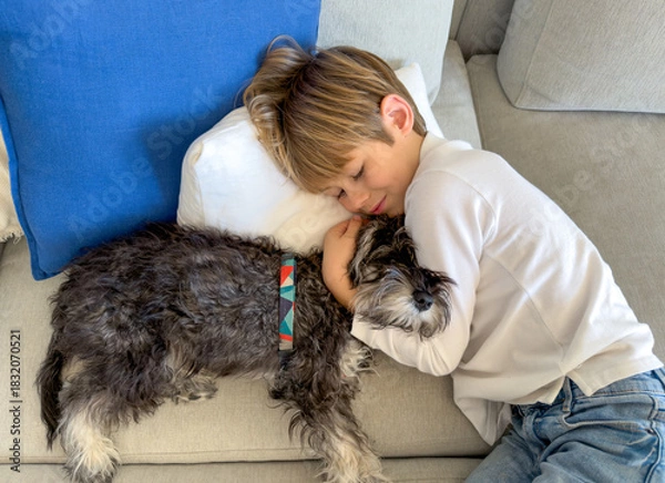 Fototapeta Top view of a little blond boy hugging his schnauzer dog lying on the couch at home. Lifestyle concept.