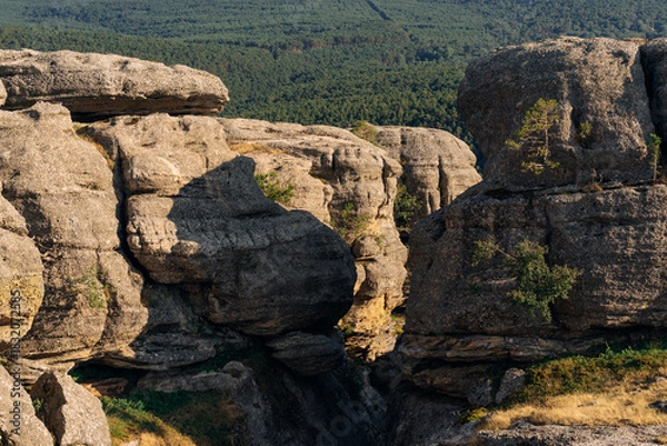 Fototapeta Rock formations and pine trees in the Castroviejo nature reserve, in Duruelo de la Sierra, Soria, Castile and Leon, Spain.