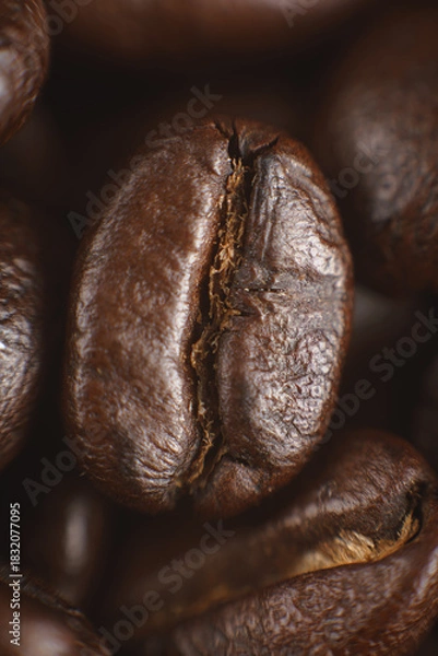 Obraz El gran grano de café