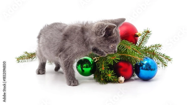Fototapeta Gray kitten with Christmas decorations.