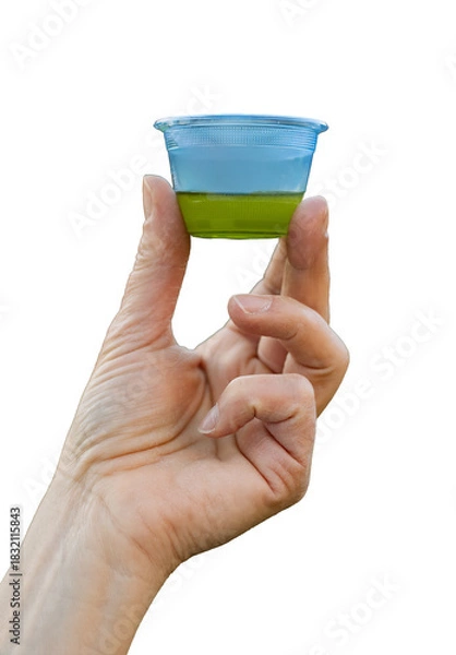 Fototapeta Taster's hand holding a technical blue cup with EVO oil. Isolated png on transparent background for sensory analysis.