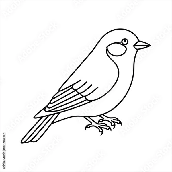 Obraz Simple outline drawing of a small bird perched on its feet