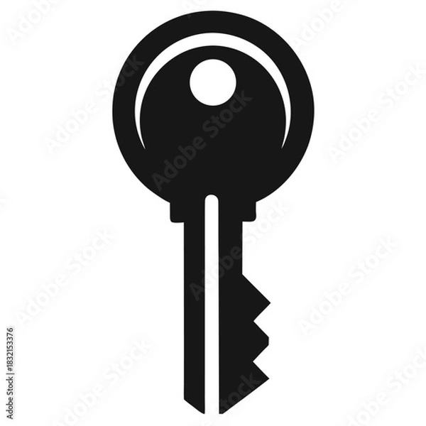 Fototapeta vector key icon