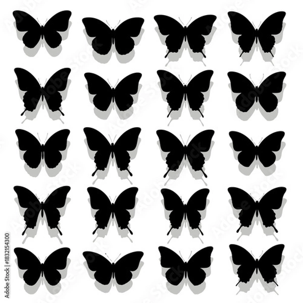 Obraz collection of butterflies