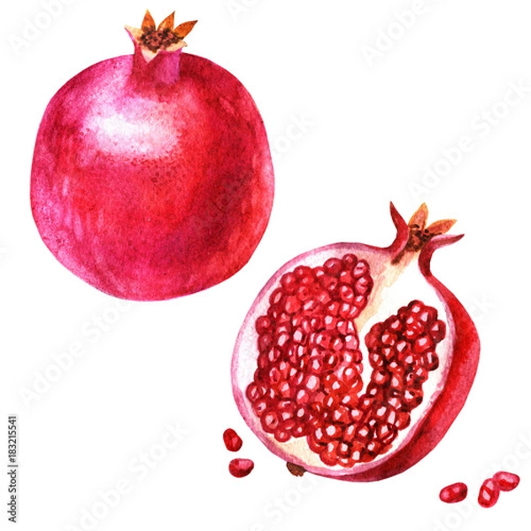 Obraz Watercolor illustration. An image of a pomegranate, halves of a pomegranate and pomegranate grains.
