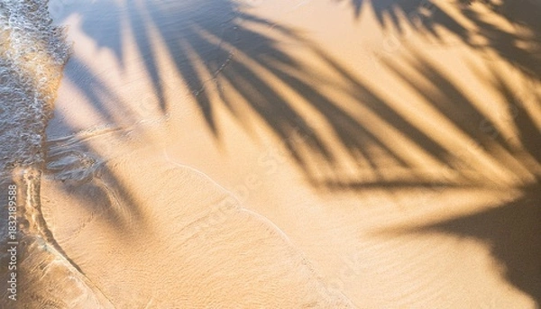 Fototapeta top view of tropical leaf shadow on water surface shadow of palm leaves on white sand beach beautiful abstract background concept banner for summer vacation at the beach goldern hours golden sand