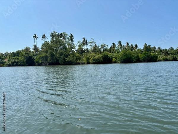 Fototapeta lake and trees