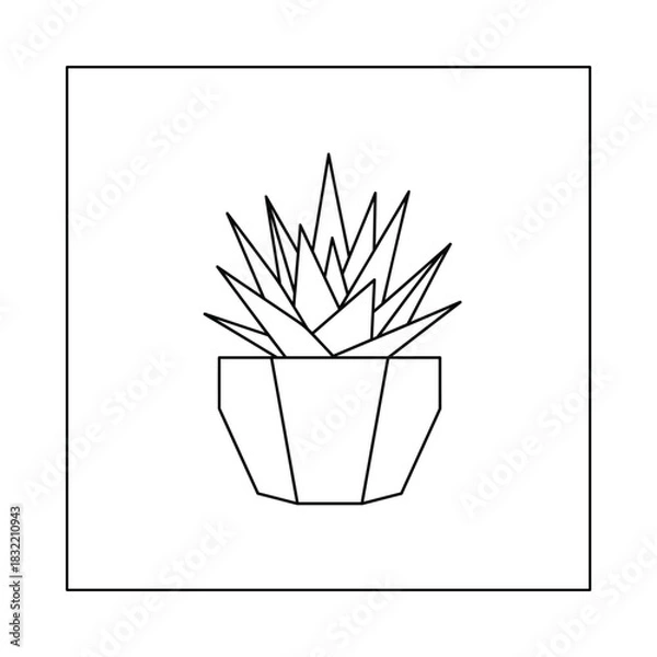 Fototapeta Geometric line art drawing of a succulent plant in a modern pot